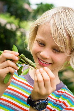 Spring Outside for Education